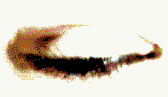 GOZLINK.GIF (21169 bytes)